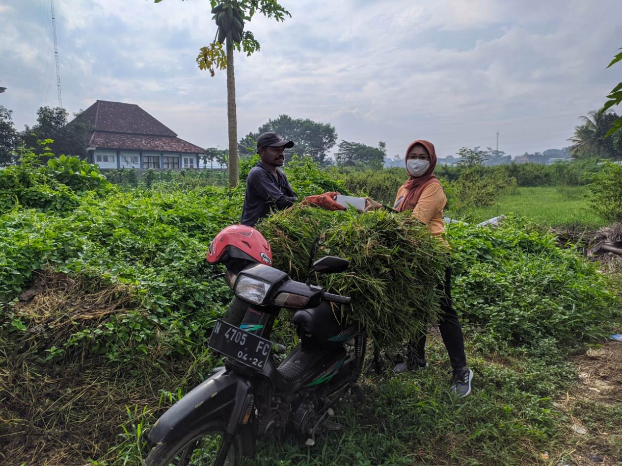 Ketua STIKes Kepanjen memberikan bantuan nasi kotak dan air mineral kepada pencari rumput